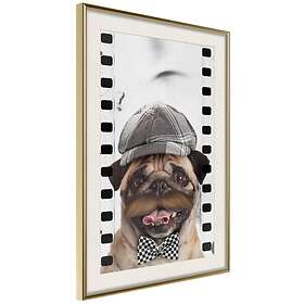 Artgeist Poster Affisch Pug In Hat [Poster] 40x60 A3-DRBPRP0557l_zr_pp