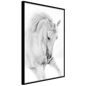Artgeist Poster Affisch White Horse [Poster] 20x30 A3-DRBPRP0523s_cr