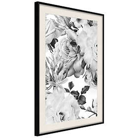 Artgeist Poster Affisch Monochrome Flowers [Poster] 20x30 A3-DRBPRP1442s_cr_pp