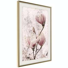 Artgeist Poster Affisch Mature Magnolia [Poster] 20x30 A3-DRBPRP0969s_zr_pp