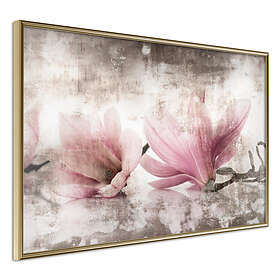 Artgeist Poster Affisch Magnolia Memory [Poster] 60x40 A3-DRBPRP0145l_zr