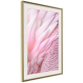 Artgeist Poster Affisch Feathers [Poster] 40x60 A3-DRBPRP0677l_zr_pp