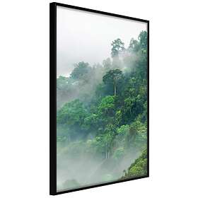 Artgeist Poster Affisch Lush Forest [Poster] 40x60 A3-DRBPRP1680l_cr
