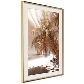 Artgeist Poster Affisch Palm Shadow [Poster] 30x45 A3-DRBPRP1419m_zr_pp