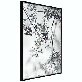Artgeist Poster Affisch Blooming Twigs [Poster] 20x30 A3-DRBPRP0546s_cr
