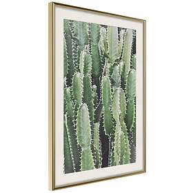Artgeist Poster Affisch Cactus Garden [Poster] 40x60 A3-DRBPRP0664l_zr_pp