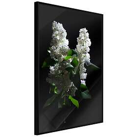Artgeist Poster Affisch Lilacs at Night [Poster] 30x45 A3-DRBPRP1070m_cr