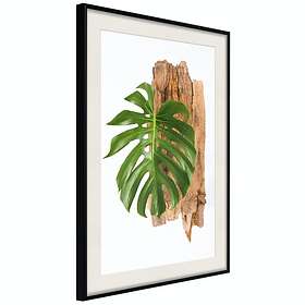 Artgeist Poster Affisch Power of Nature [Poster] 20x30 A3-DRBPRP1109s_cr_pp