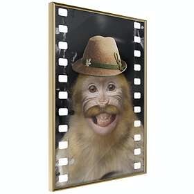Artgeist Poster Affisch Monkey In Hat [Poster] 40x60 A3-DRBPRP0559l_zr