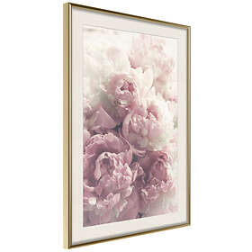 Artgeist Poster Affisch Delicate Peonies [Poster] 30x45 A3-DRBPRP1674m_zr_pp