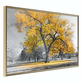Artgeist Poster Affisch Autumn in the Park Gold (Gold) [Poster] 60x40 A3-DRBPRP0198l_zr