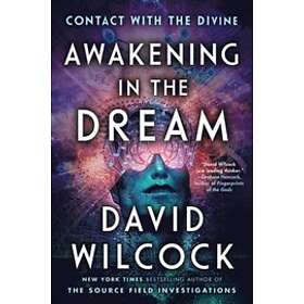 David Wilcock: Awakening In The Dream