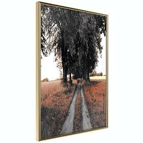 Artgeist Poster Affisch Road to the Forest [Poster] 30x45 A3-DRBPRP1502m_zr
