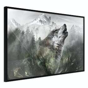Artgeist Poster Affisch Howling Wolf [Poster] 60x40 A3-DRBPRP0227l_cr