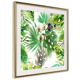 Artgeist Poster Affisch Tropical Shadow (Square) [Poster] 20x20 A3-DRBPRP0008_zr_pp