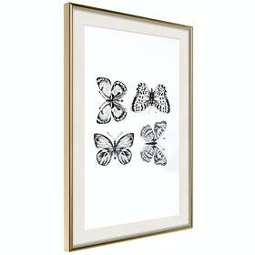 Artgeist Poster Affisch Four Butterflies [Poster] 30x45 A3-DRBPRP0628m_zr_pp