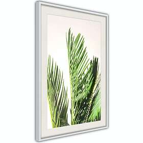 Artgeist Poster Affisch Plant Detail [Poster] 40x60 A3-DRBPRP1010l_br ...