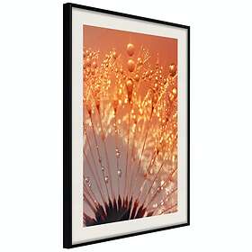 Artgeist Poster Affisch Autumn Dandelion [Poster] 30x45 A3-DRBPRP1458m_cr_pp