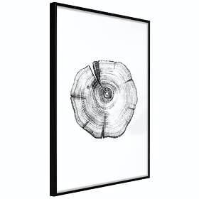 Artgeist Poster Affisch Wood Slice [Poster] 20x30 A3-DRBPRP0581s_cr