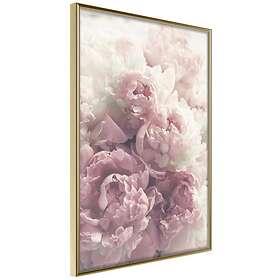 Artgeist Poster Affisch Delicate Peonies [Poster] 30x45 A3-DRBPRP1674m_zr