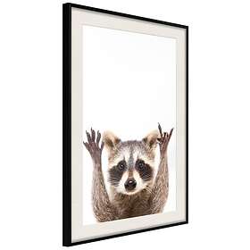 Artgeist Poster Affisch Raccoon [Poster] 20x30 A3-DRBPRP0413s_cr_pp