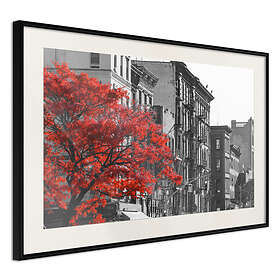 Artgeist Poster Affisch Autumn in New York [Poster] 60x40 A3-DRBPRP0104l_cr_pp