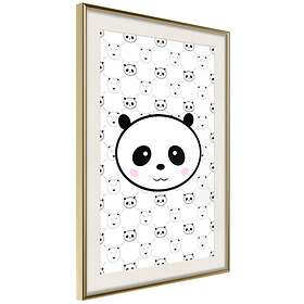 Artgeist Poster Affisch Pandas and Bears 40x60cm Guld Ram Med Passepartout