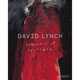 Stijn Huijts: David Lynch
