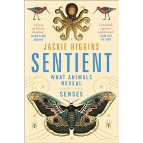 Jackie Higgins: Sentient