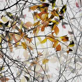Autumn Song Poster