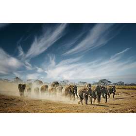 A Very Long Thinking Poster