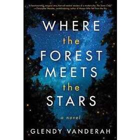 Glendy Vanderah: Where the Forest Meets Stars
