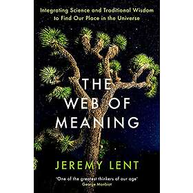 Jeremy Lent: The Web of Meaning