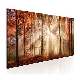 Arkiio Tavla Autumnal Dawn 135x45 A3-N6325