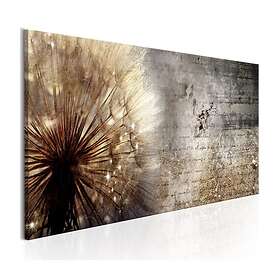 Arkiio Tavla Dandelion On Concrete on 135x45 A3-N6850-DKX