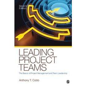 Anthony T Cobb: Leading Project Teams