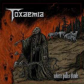 Toxaemia - Where Paths Divide LP