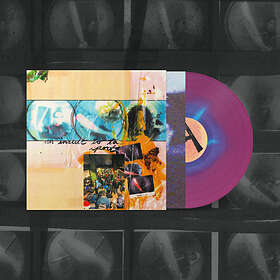 They Are Gutting A Body Of Water - An Insult To The Sport Limited Edition LP