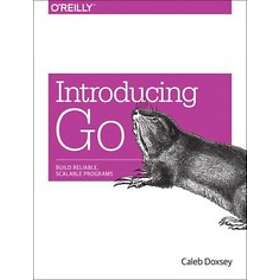 Caleb Doxsey: Introducing Go
