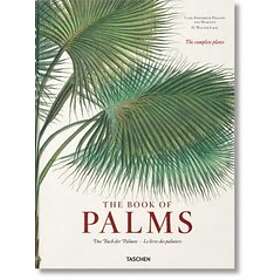 H Walter Lack: Martius. The Book of Palms