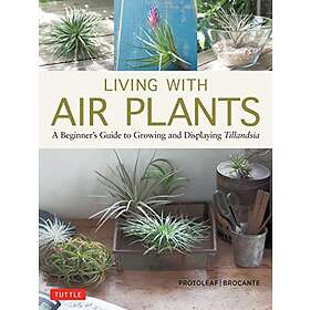 Yoshiharu Kashima, Yukihiro Matsuda: Living with Air Plants