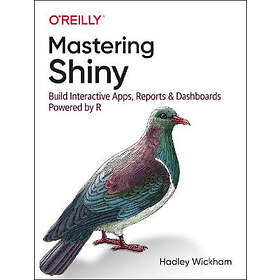 Hadley Wickham: Mastering Shiny