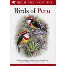 Birds of Peru