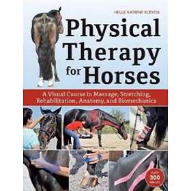 Helle Katrine Kleven: Physical Therapy for Horses