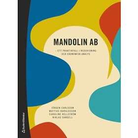 Jörgen Carlsson, Mattias Haraldsson, Caroline Hellström, Niklas Sandell: Mandolin AB ett praktikfall i redovisning och ekonomisk analys