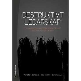 Destruktivt ledarskap : Hur uppkommer det? Vilka effekter får det? Vad kan man göra åt det?