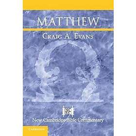 Craig A Evans: Matthew