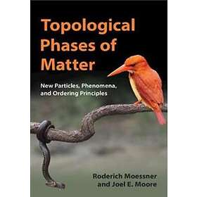 Roderich Moessner: Topological Phases of Matter