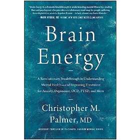 Christopher M Palmer: Brain Energy