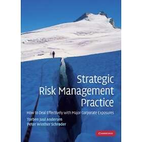 Torben Juul Andersen: Strategic Risk Management Practice